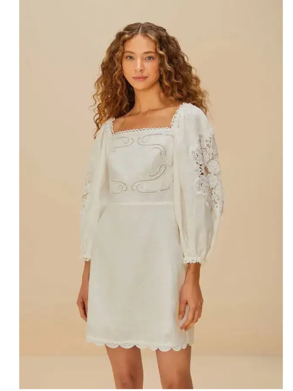 FARM RIO Embroidered Euroflax Premium Linen Mini‎ Dress Scallop Trim